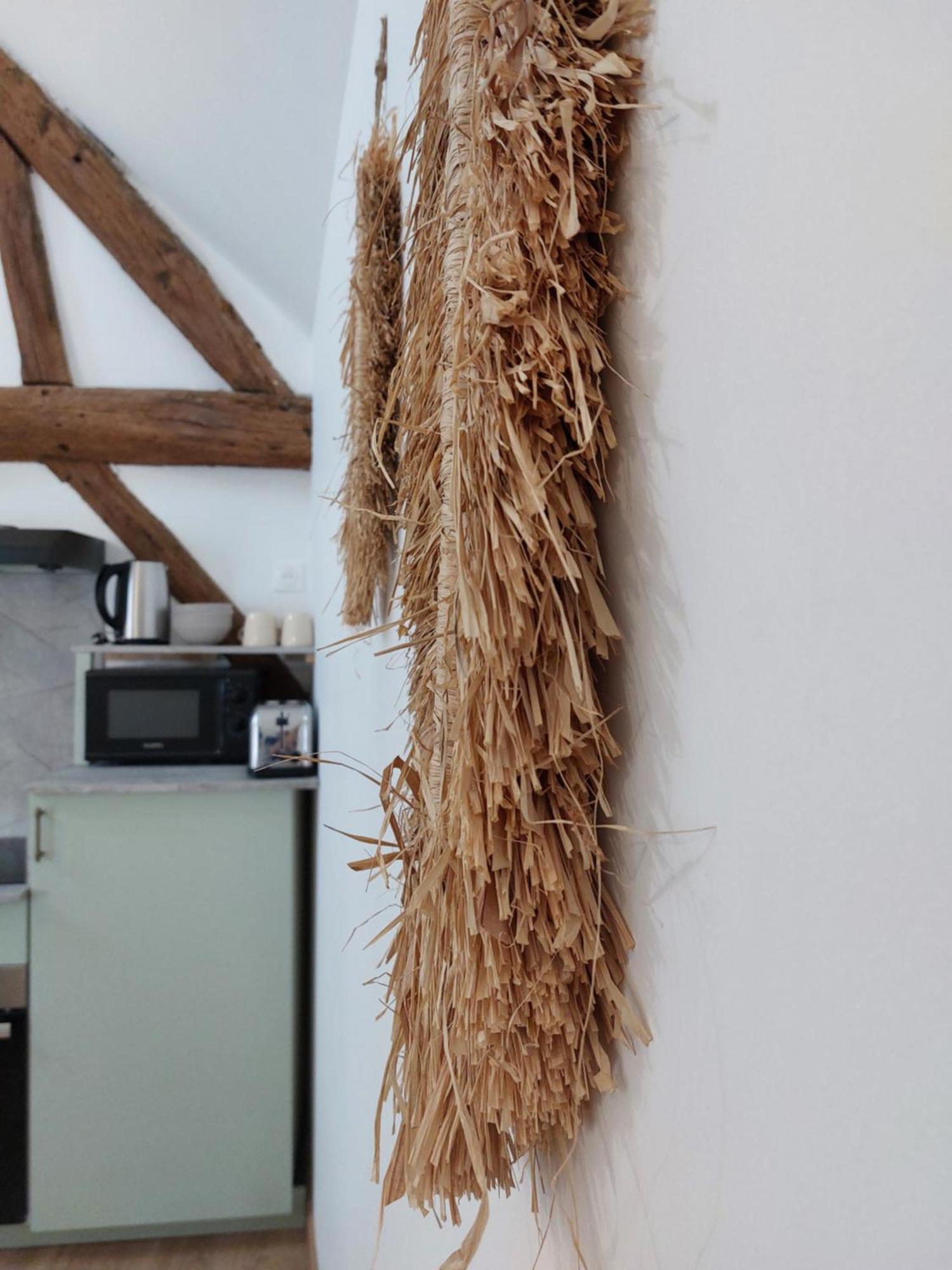 Appartements L'Hirondelle Beaugency Dış mekan fotoğraf