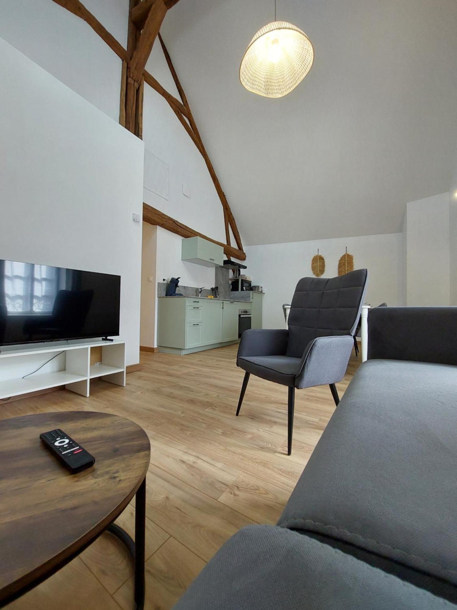 Appartements L'Hirondelle Beaugency Dış mekan fotoğraf